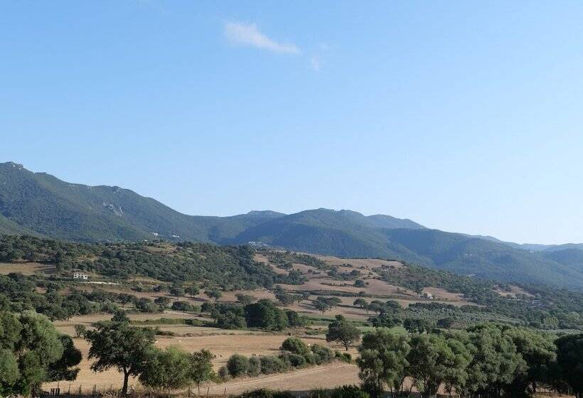 בית מלון כפרי Domaine Machja