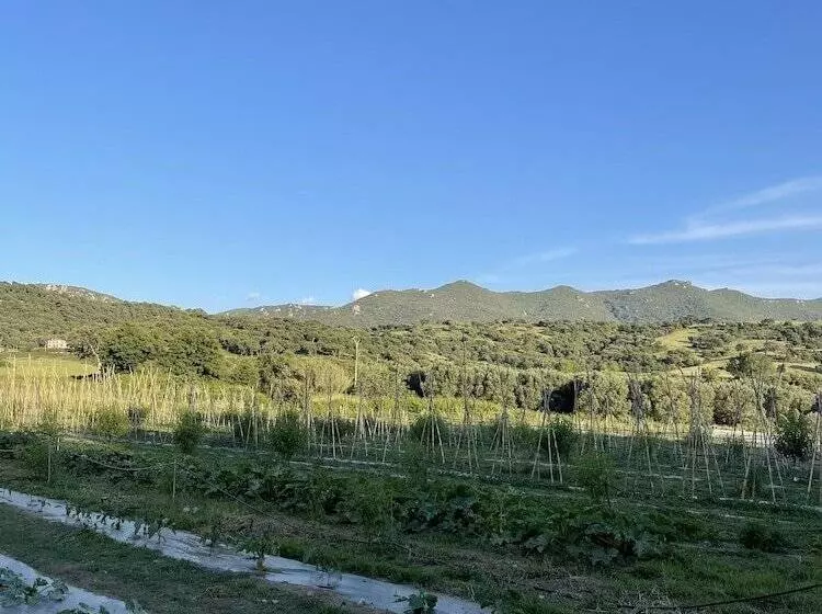 Hotelli Domaine Machja