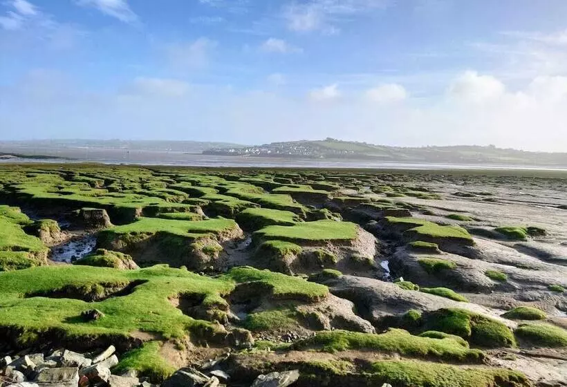 Residenssi Appledore Home With Panoramic Estuary View
