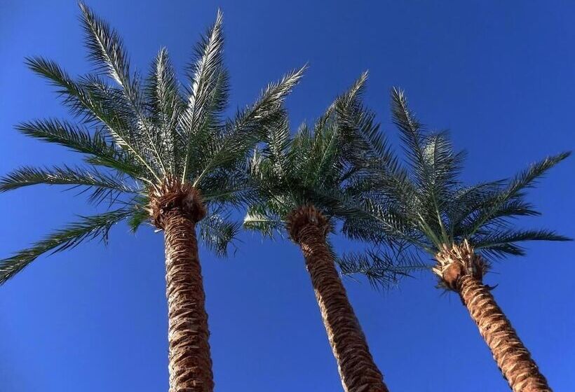 בית מלון כפרי Timor