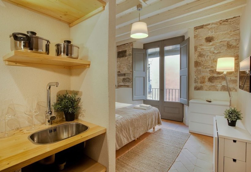 Apartaments De L'onyar