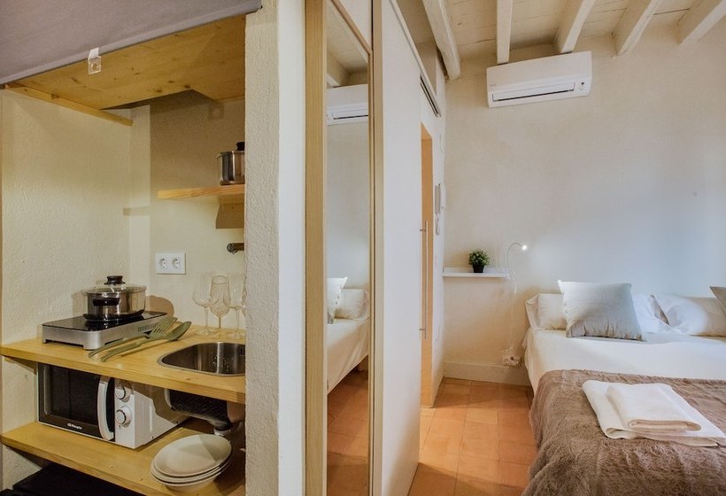 Apartaments De L'onyar