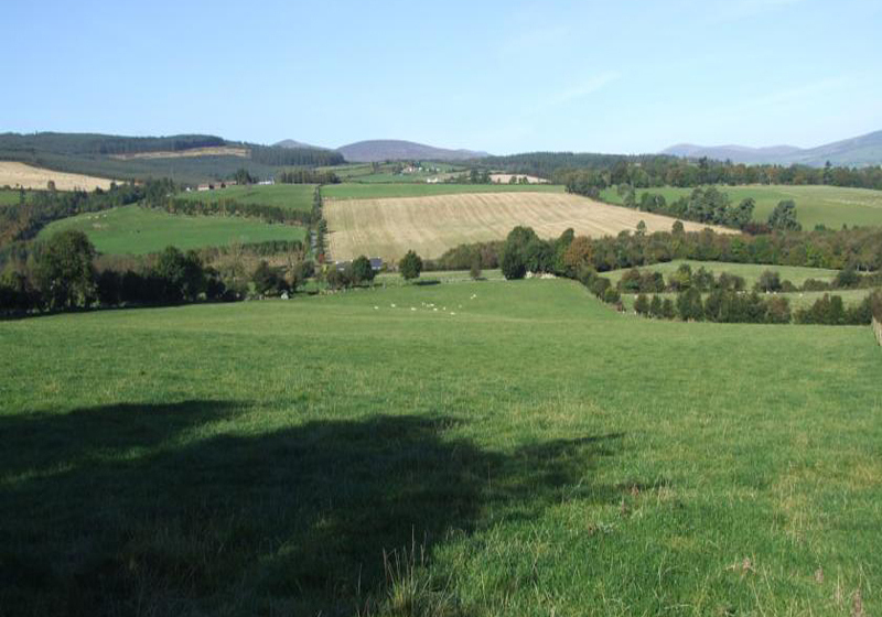 Nocleg ze śniadaniem Cherrybrook Country Home