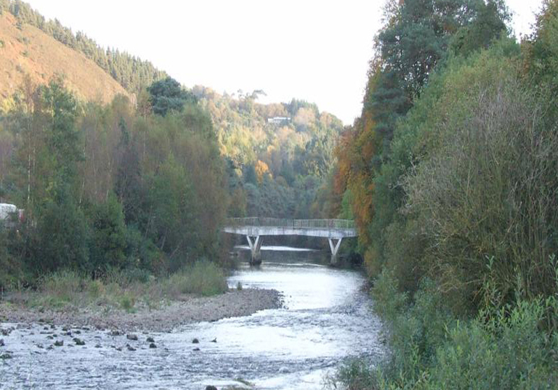 Nocleg ze śniadaniem Cherrybrook Country Home