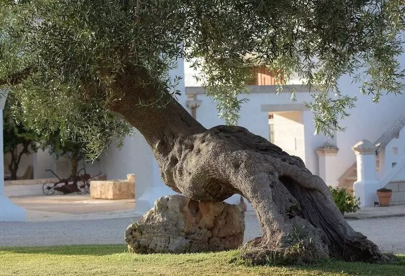 هتل Agriturismo Masseria De Michele