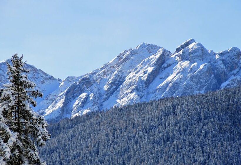 Отель Chalet Olympia