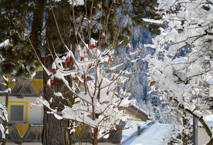 Отель Chalet Olympia