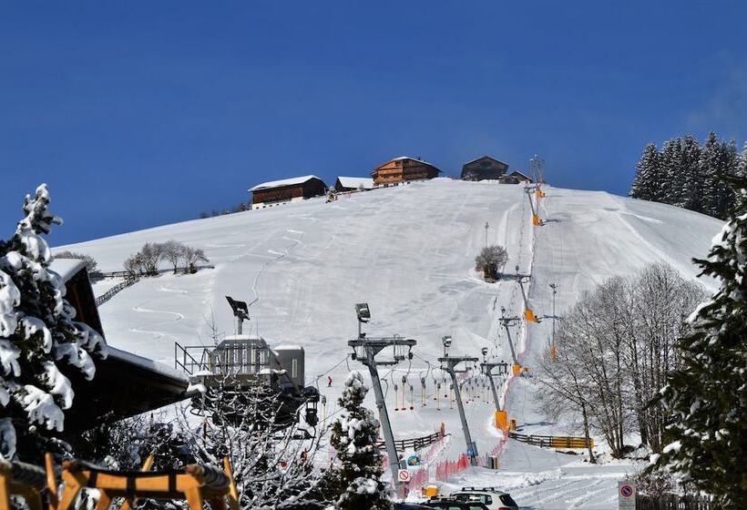 Отель Chalet Olympia