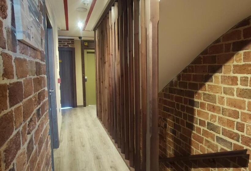 בית מלון כפרי Puerto Rico