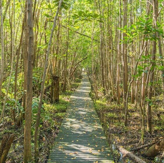 هتل Residence Les Cayalines