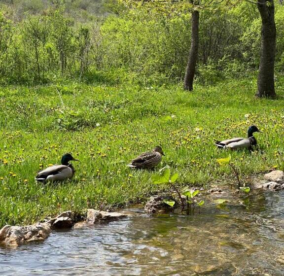 هتل Rustic Inn River 2