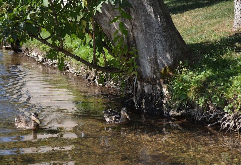 هتل Rustic Inn River 2