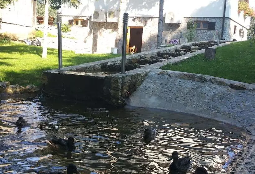 ホテル Rustic Inn River 2