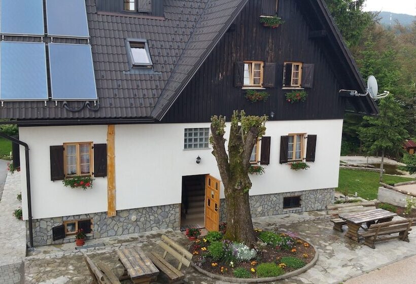 هتل Rustic Inn River 2