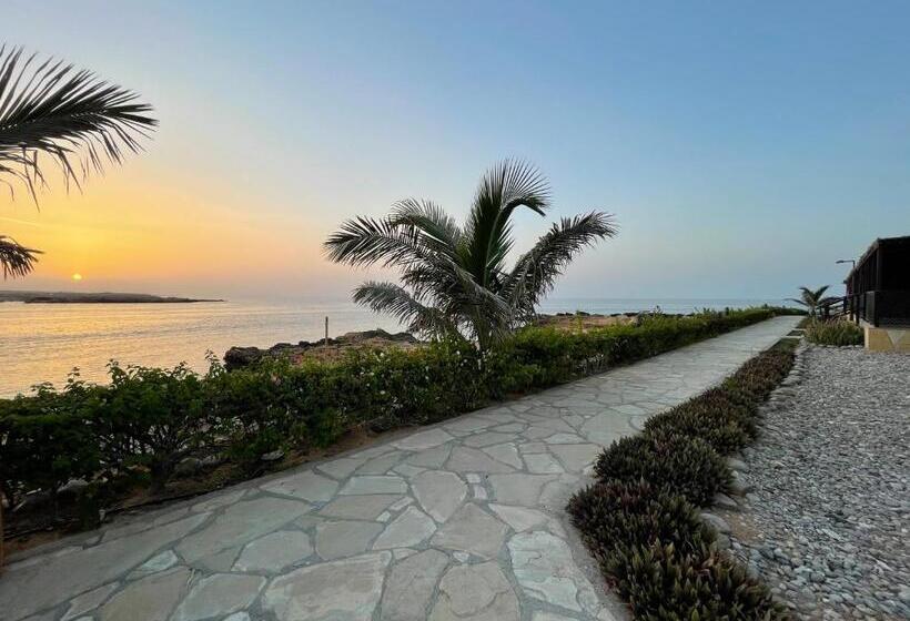 هتل Turtle Beach Resort