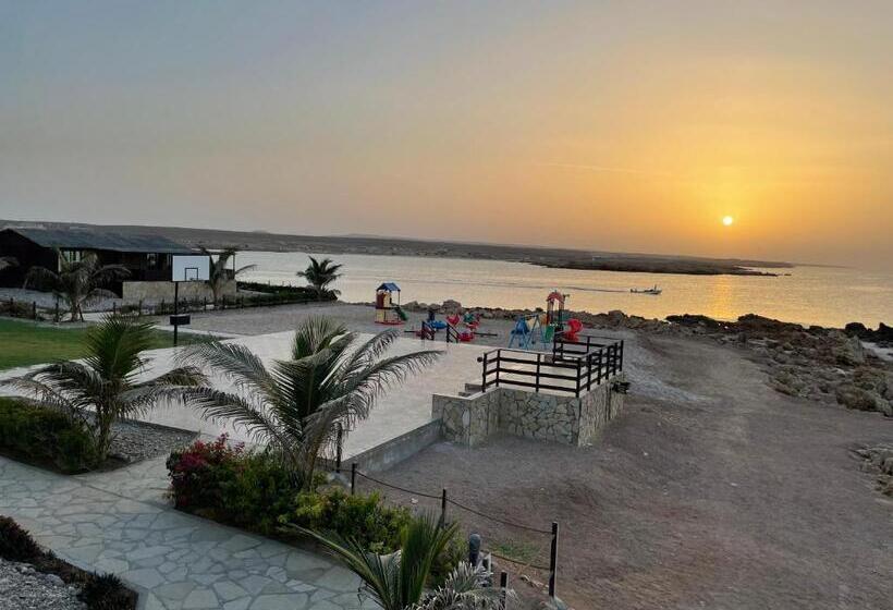 هتل Turtle Beach Resort