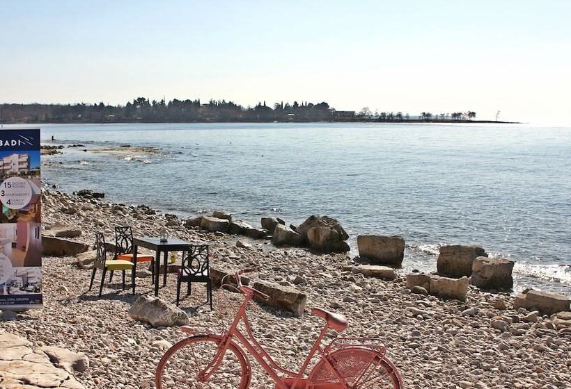 בית מלון כפרי Villa Badi