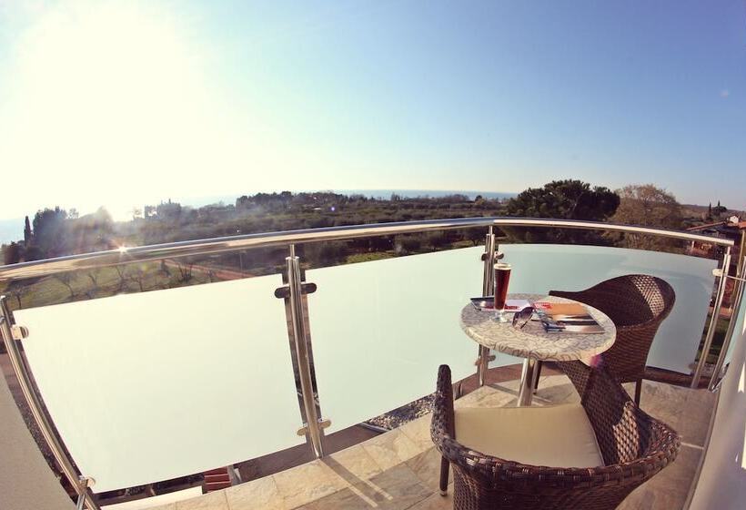 בית מלון כפרי Villa Badi