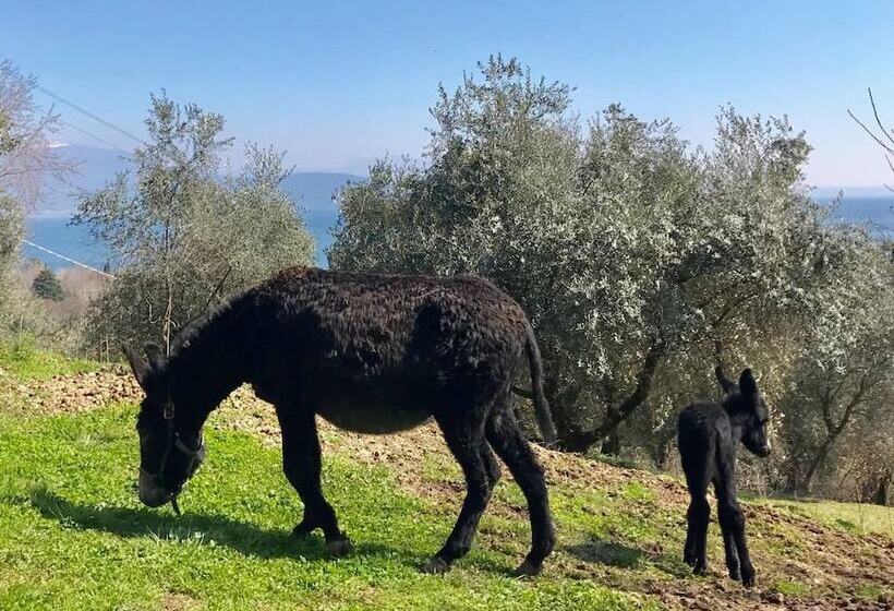 호텔 Villa Schindler