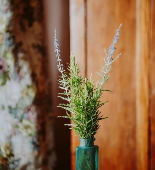 호텔 Villa Schindler