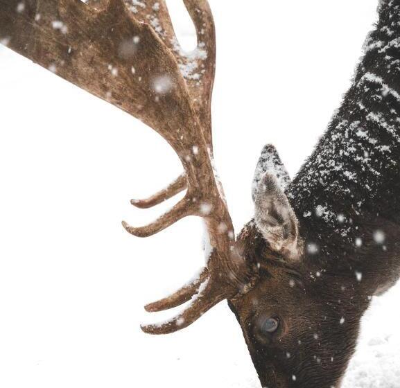 استراحتگاه Llogora Tourist Village