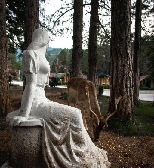 استراحتگاه Llogora Tourist Village