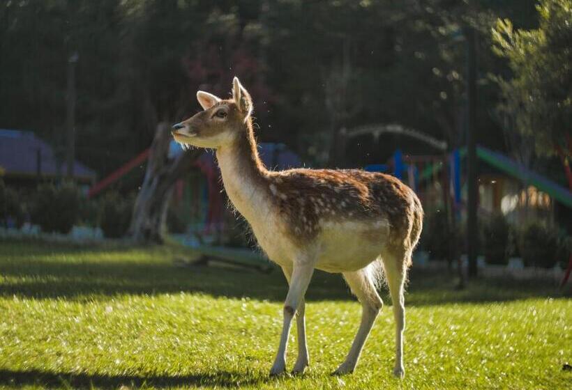 استراحتگاه Llogora Tourist Village