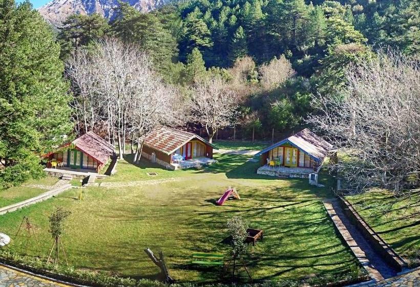 استراحتگاه Llogora Tourist Village