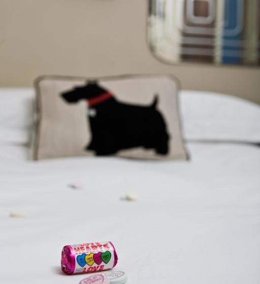 Hotel Guest And The City