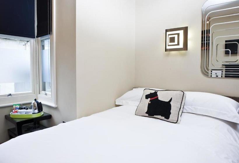 Hotel Guest And The City