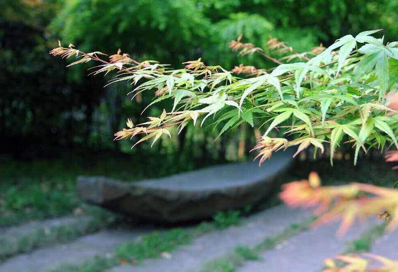 酒店 Phoenix Art Resort