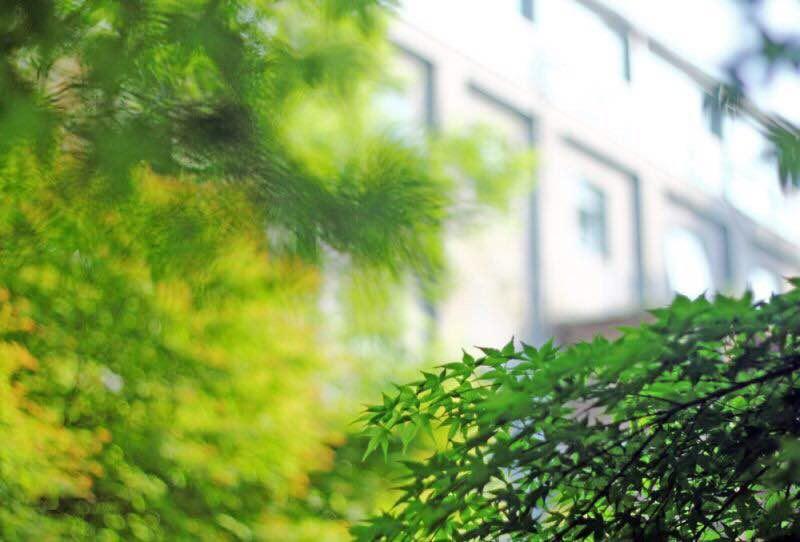 酒店 Phoenix Art Resort