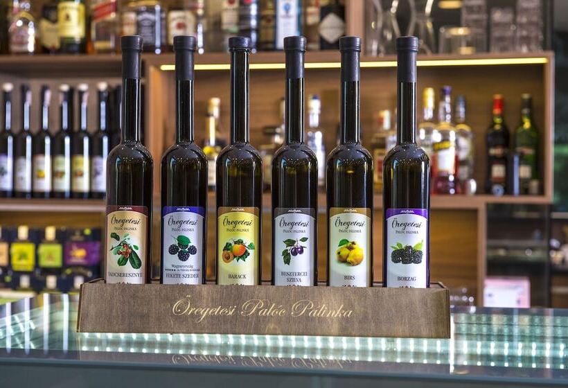 Castellum Hotel Hollókő