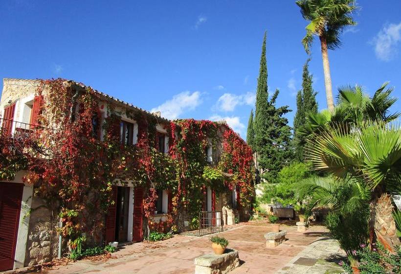 Finca Hotel Consinet
