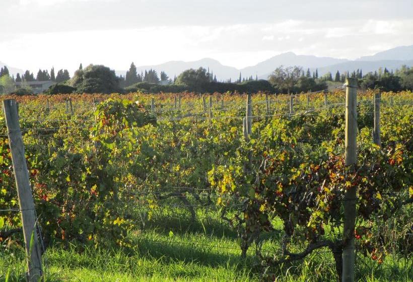 Finca Hotel Consinet