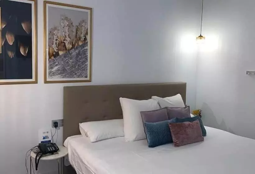 Hostal Albany Ancha