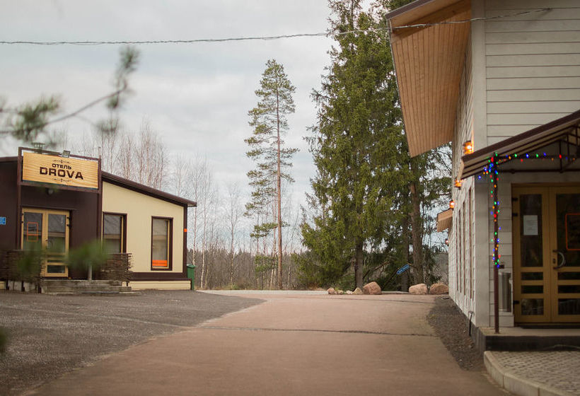 Отель Drova