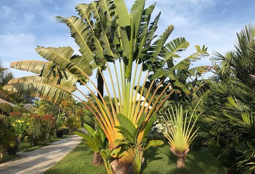 בית מלון כפרי Mango Beach Resort