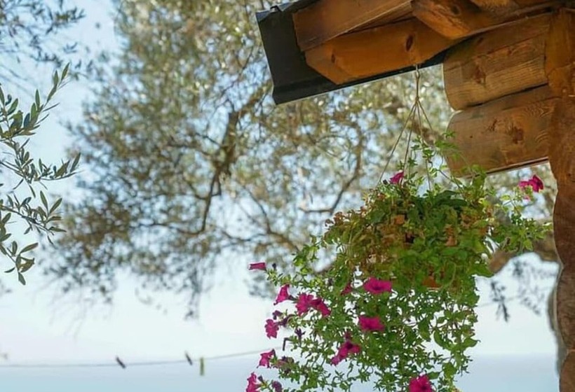 هتل روستایی Holiday Park Olive Tree