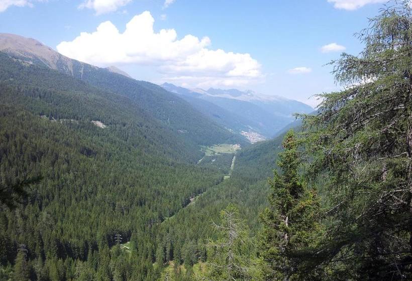 Отель Negritella