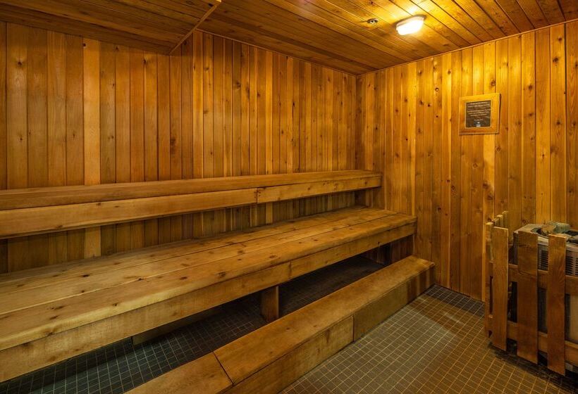 ホテル Comfort Inn & Suites