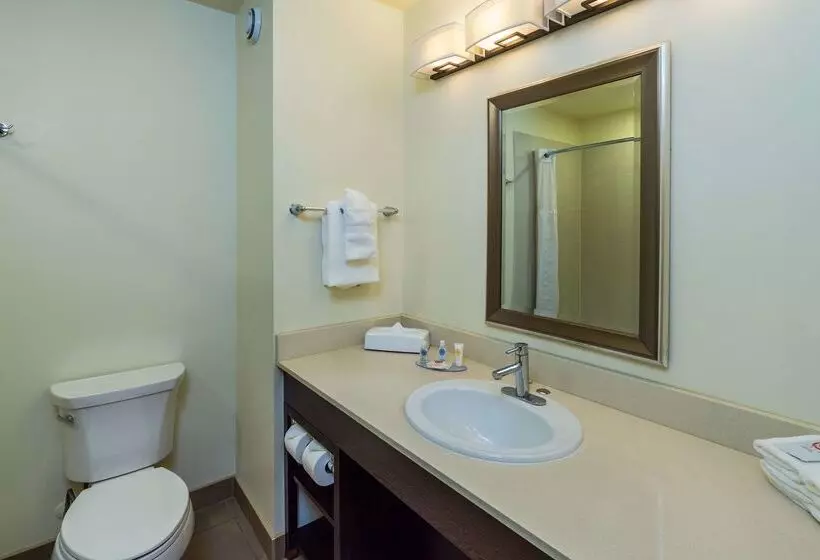 Hotelli Comfort Inn & Suites