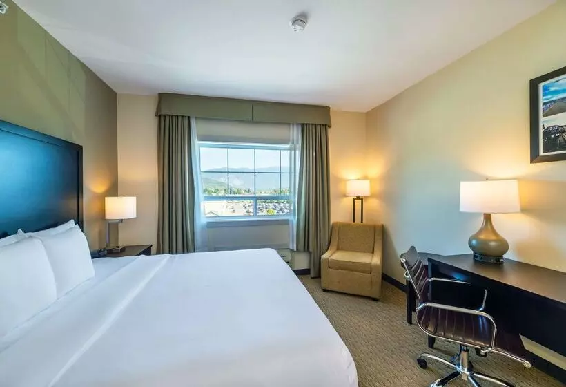 Hotelli Comfort Inn & Suites