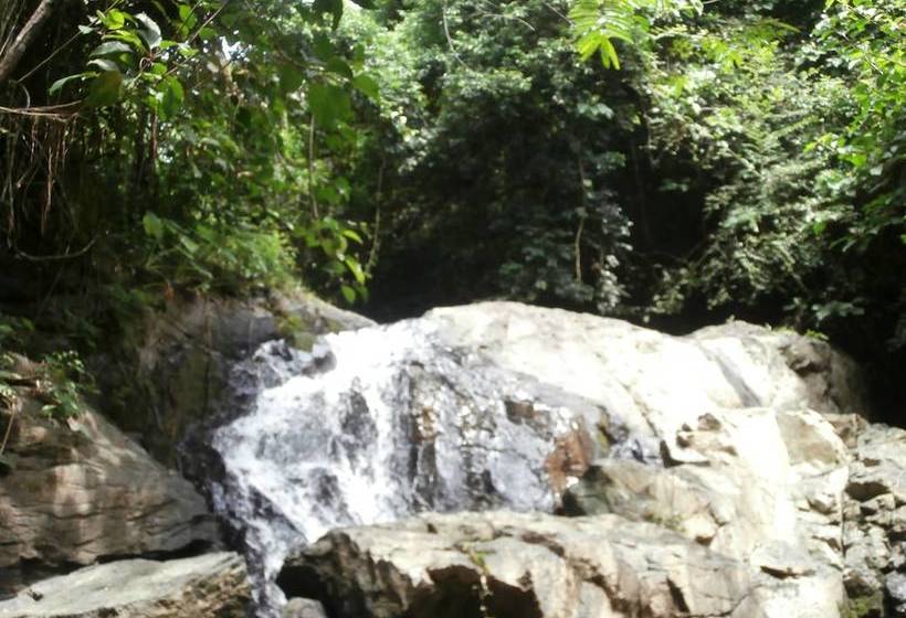 هتل Fiji Palms Phuket