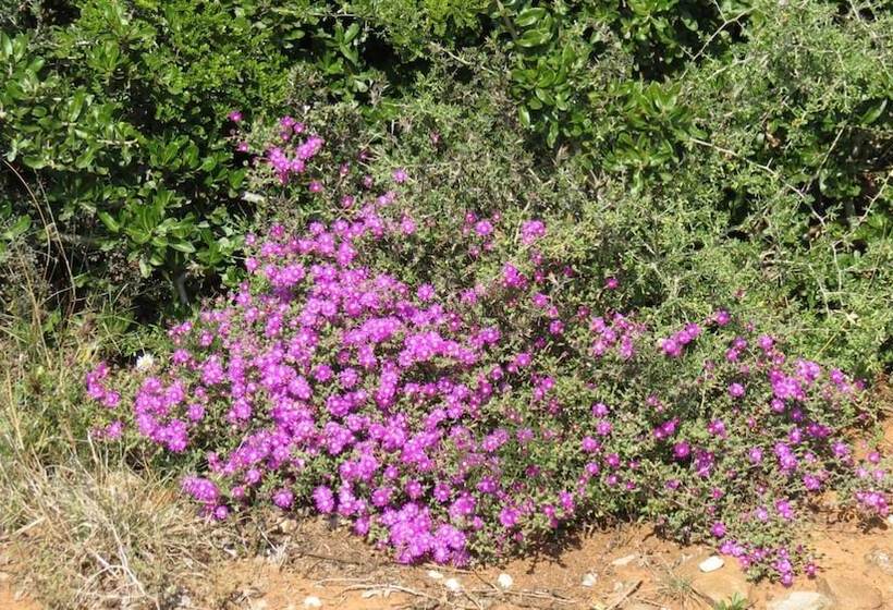 Hotel Kudu Ridge Game Lodge