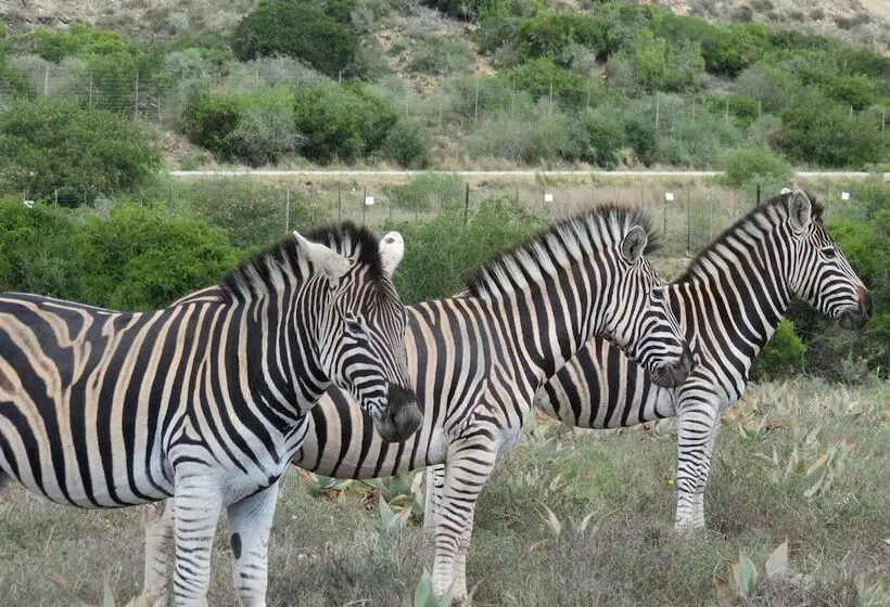 ホテル Kudu Ridge Game Lodge