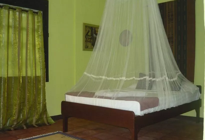 ホテル Mangrove Oriental Bed & Breakfast Resort