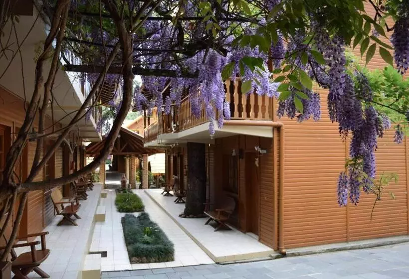 ホテル Pousada Villa Fiorita
