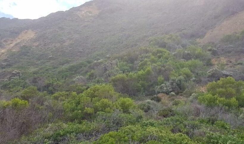 פנסיון Atlantic Guest House