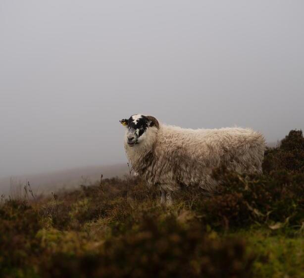 مبيت وإفطار Barnahown, Mitchelstown